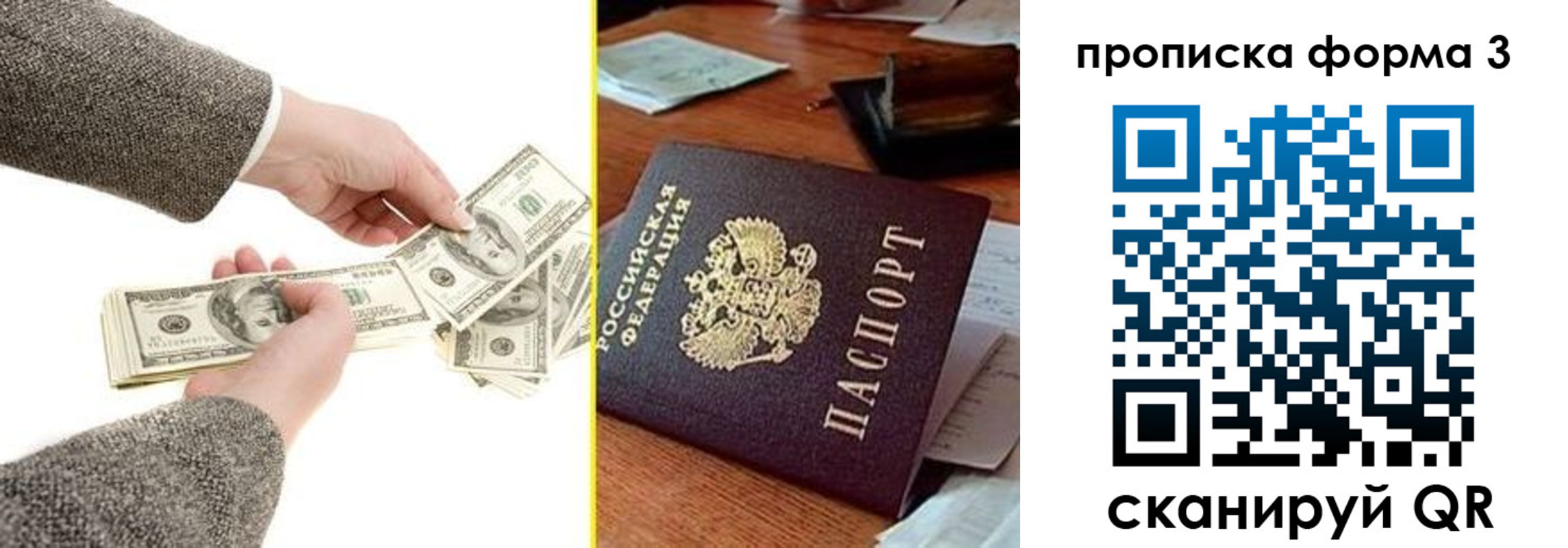 миграционный учет в Светлогорске